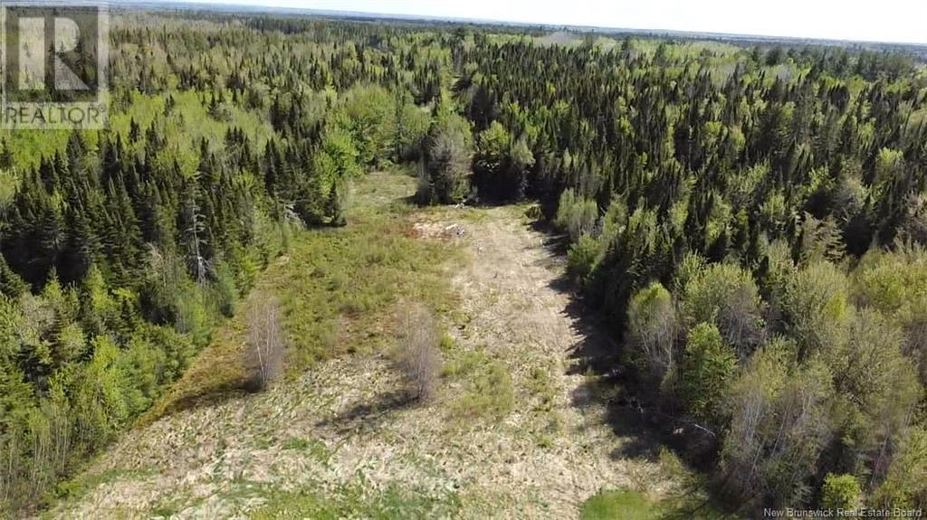 Vacant Lot Route 10, Upper Salmon Creek, New Brunswick