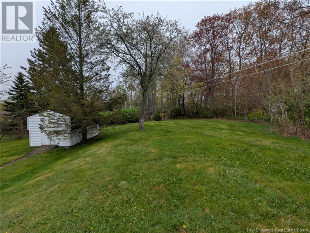 146 Court Street, Riverview, New Brunswick  E1B 1L7 - Photo 43 - NB118809