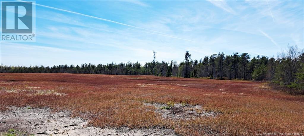 29 acres Ch Adelard Road, Pont-Lafrance, New Brunswick
