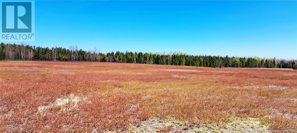 29 Acres Ch Adelard Road, Pont-Lafrance, New Brunswick  E1X 1P1 - Photo 3 - NB118422