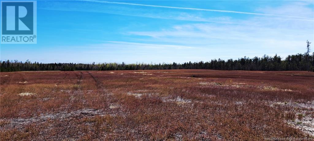 29 Acres Ch Adelard Road, Pont-Lafrance, New Brunswick  E1X 1P1 - Photo 5 - NB118422