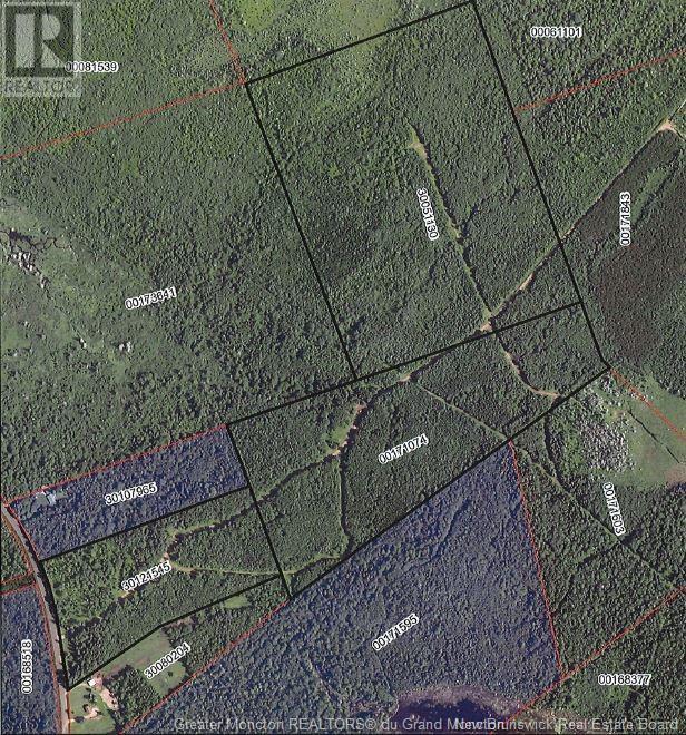 Lot Route 885, Havelock, New Brunswick  E4Z 5N9 - Photo 4 - NB119000