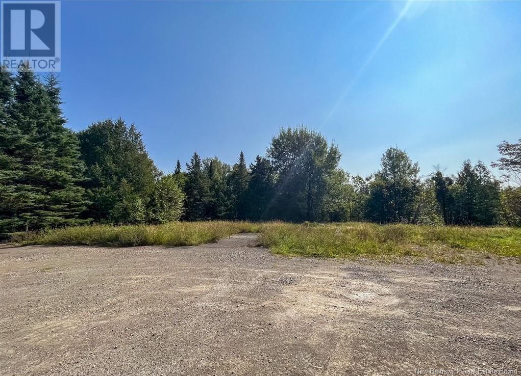 1768 Des Pionniers Avenue, Balmoral, New Brunswick  E8E 1G2 - Photo 4 - NB119030