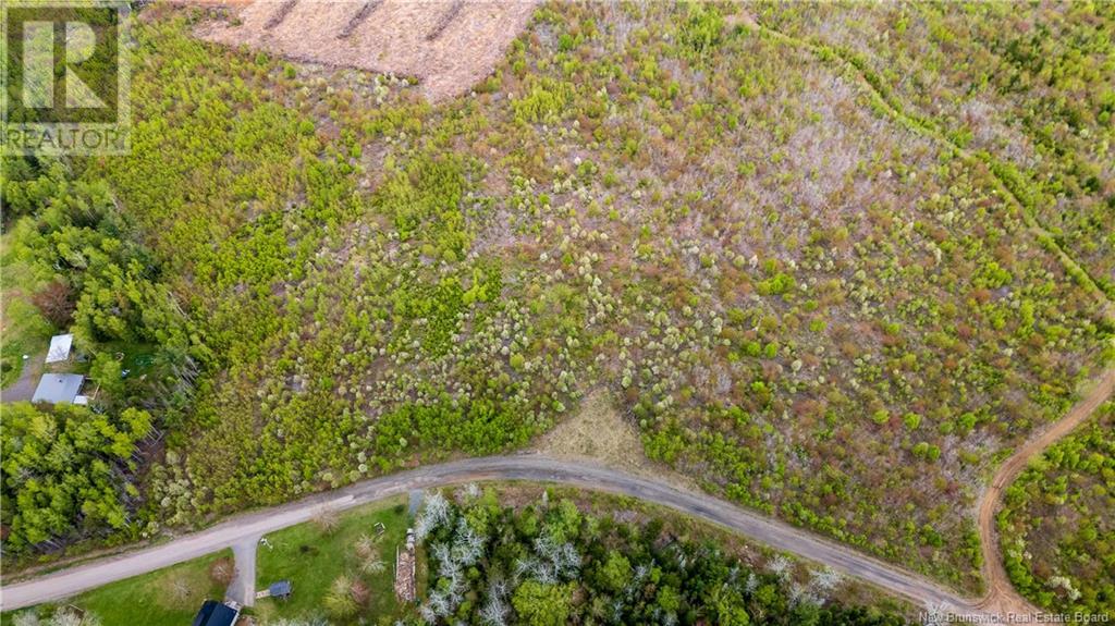Lot 39 Davidson Road, Anagance, New Brunswick  E4Z 1E1 - Photo 1 - NB119077