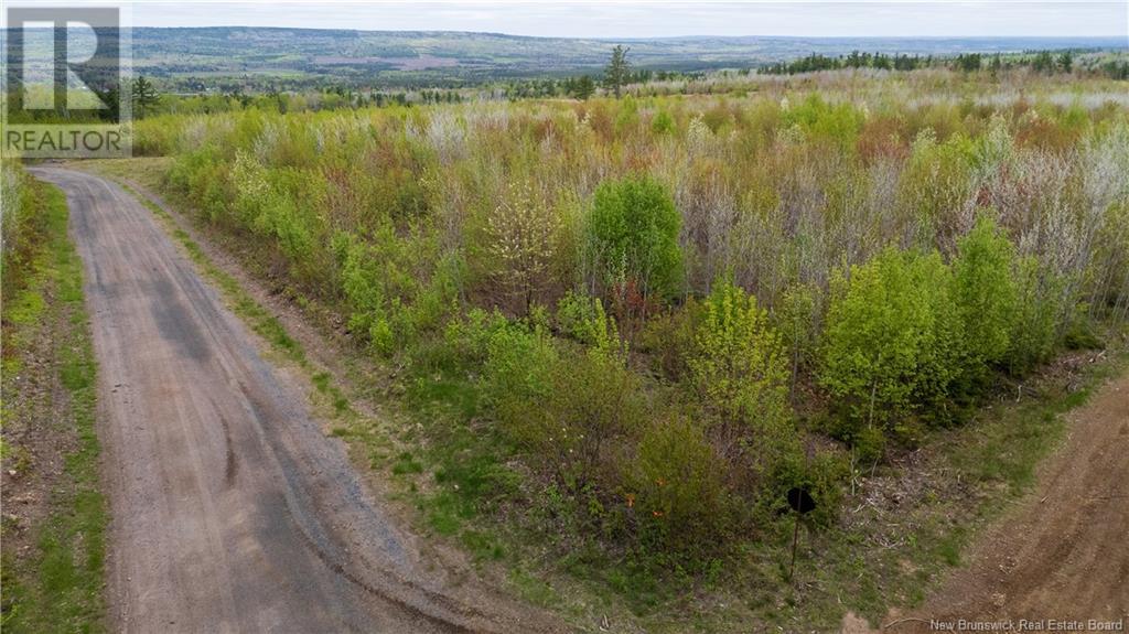 Lot 39 Davidson Road, Anagance, New Brunswick  E4Z 1E1 - Photo 10 - NB119077