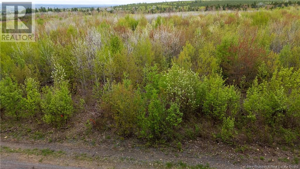 Lot 39 Davidson Road, Anagance, New Brunswick  E4Z 1E1 - Photo 12 - NB119077