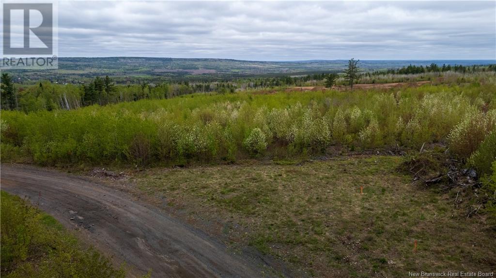 Lot 39 Davidson Road, Anagance, New Brunswick  E4Z 1E1 - Photo 14 - NB119077