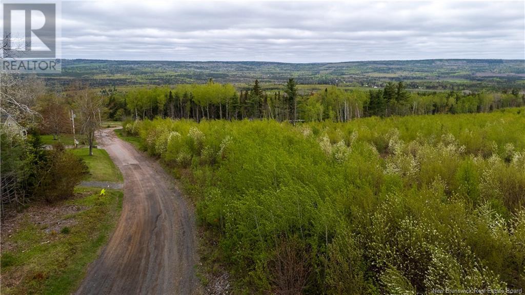 Lot 39 Davidson Road, Anagance, New Brunswick  E4Z 1E1 - Photo 15 - NB119077