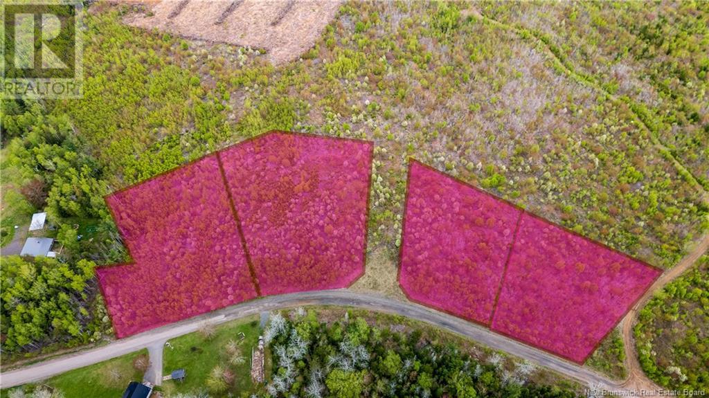 Lot 39 Davidson Road, Anagance, New Brunswick  E4Z 1E1 - Photo 18 - NB119077