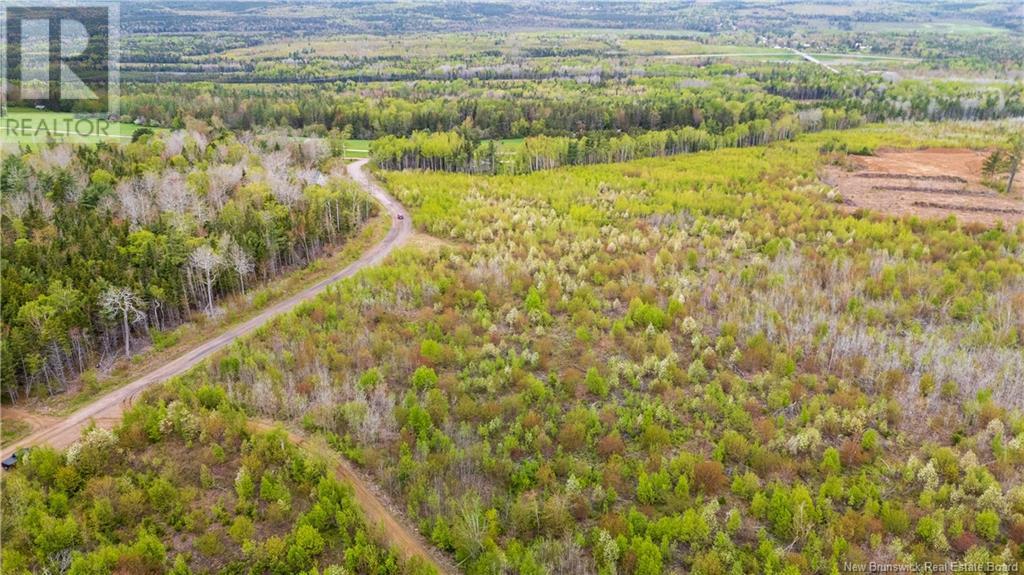 Lot 39 Davidson Road, Anagance, New Brunswick  E4Z 1E1 - Photo 3 - NB119077