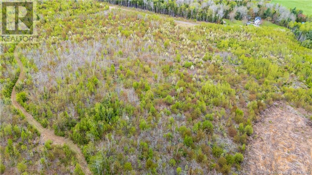 Lot 39 Davidson Road, Anagance, New Brunswick  E4Z 1E1 - Photo 4 - NB119077