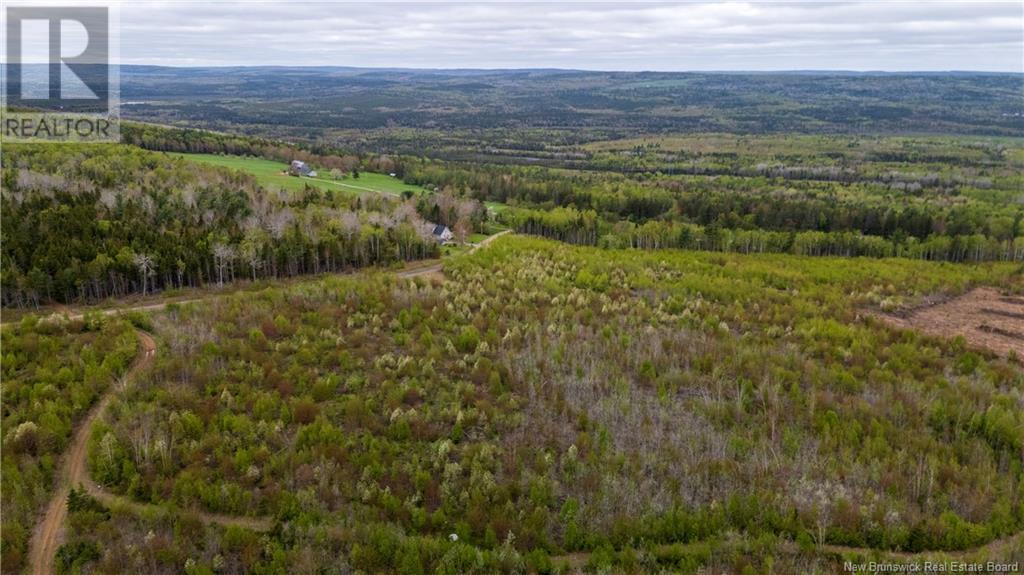 Lot 39 Davidson Road, Anagance, New Brunswick  E4Z 1E1 - Photo 6 - NB119077