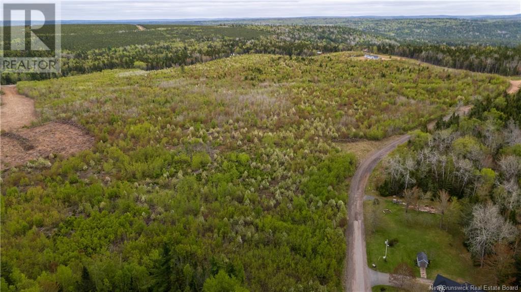 Lot 39 Davidson Road, Anagance, New Brunswick  E4Z 1E1 - Photo 8 - NB119077