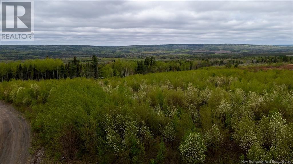 Lot 39 Davidson Road, Anagance, New Brunswick  E4Z 1E1 - Photo 9 - NB119077