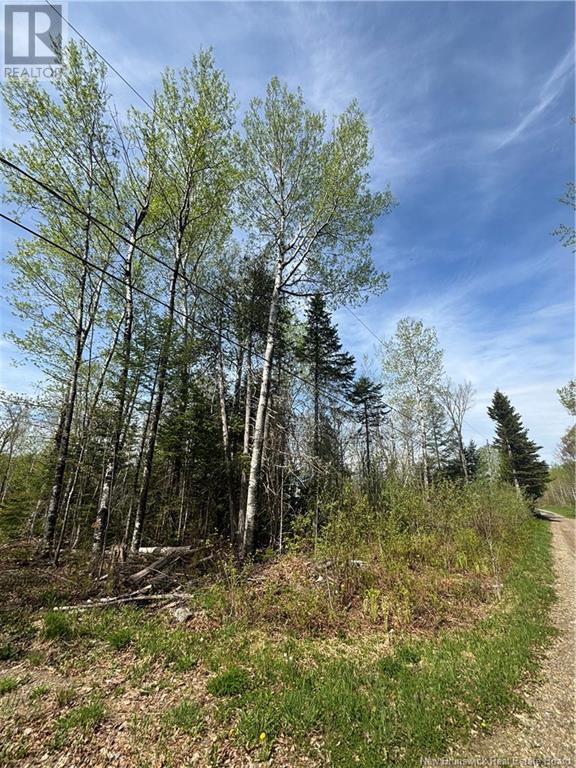Lot 100 Tamarack Lane, Maxwell, New Brunswick  E7N 2N8 - Photo 6 - NB119040