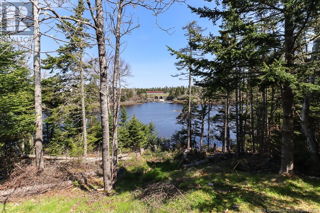 16 Lomax Road, Little Lepreau, New Brunswick  E5J 1R6 - Photo 32 - NB118759