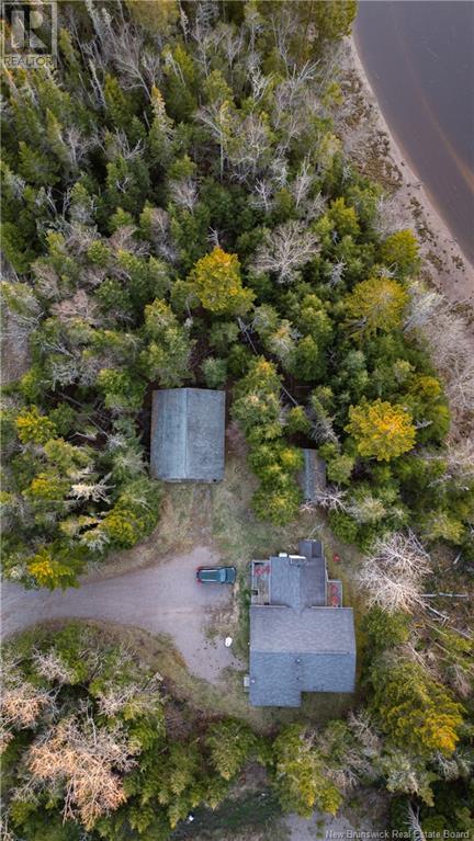 16 Lomax Road, Little Lepreau, New Brunswick  E5J 1R6 - Photo 5 - NB118759