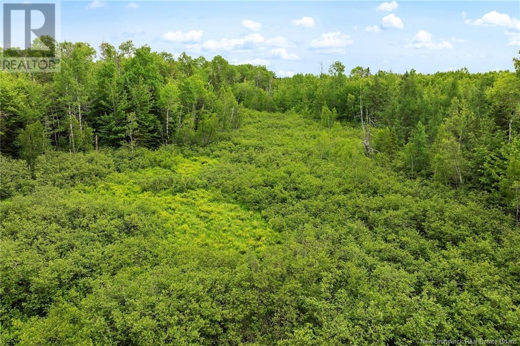 / Bronson Road, Chipman, New Brunswick  O0O 0O0 - Photo 10 - NB119054