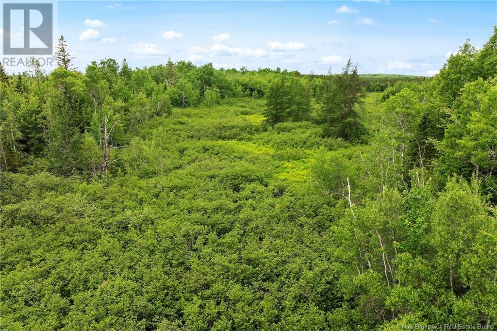 / Bronson Road, Chipman, New Brunswick  O0O 0O0 - Photo 11 - NB119054