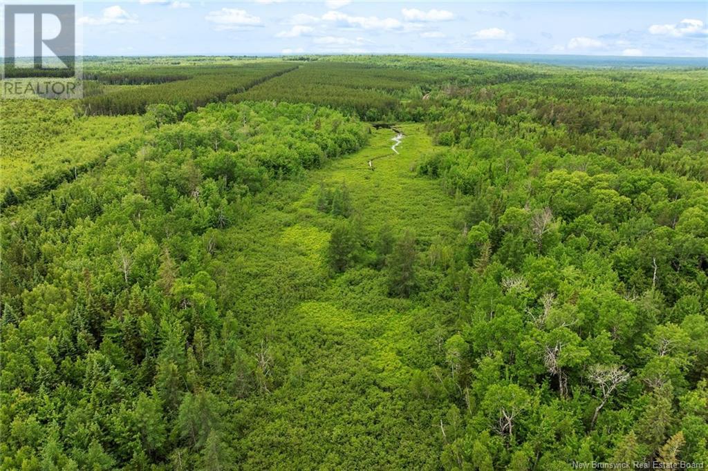 / Bronson Road, Chipman, New Brunswick  O0O 0O0 - Photo 12 - NB119054