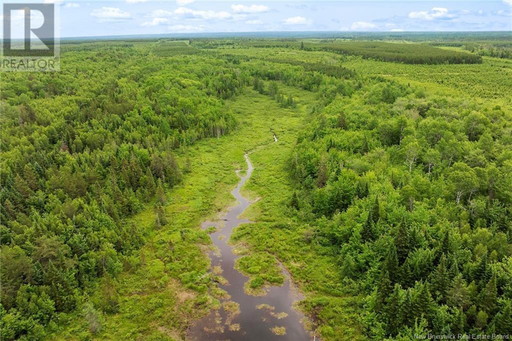/ Bronson Road, Chipman, New Brunswick  O0O 0O0 - Photo 13 - NB119054