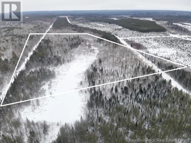 / Bronson Road, Chipman, New Brunswick  O0O 0O0 - Photo 3 - NB119054