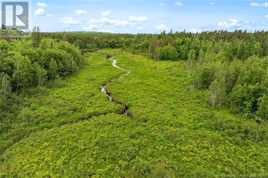 / Bronson Road, Chipman, New Brunswick  O0O 0O0 - Photo 5 - NB119054