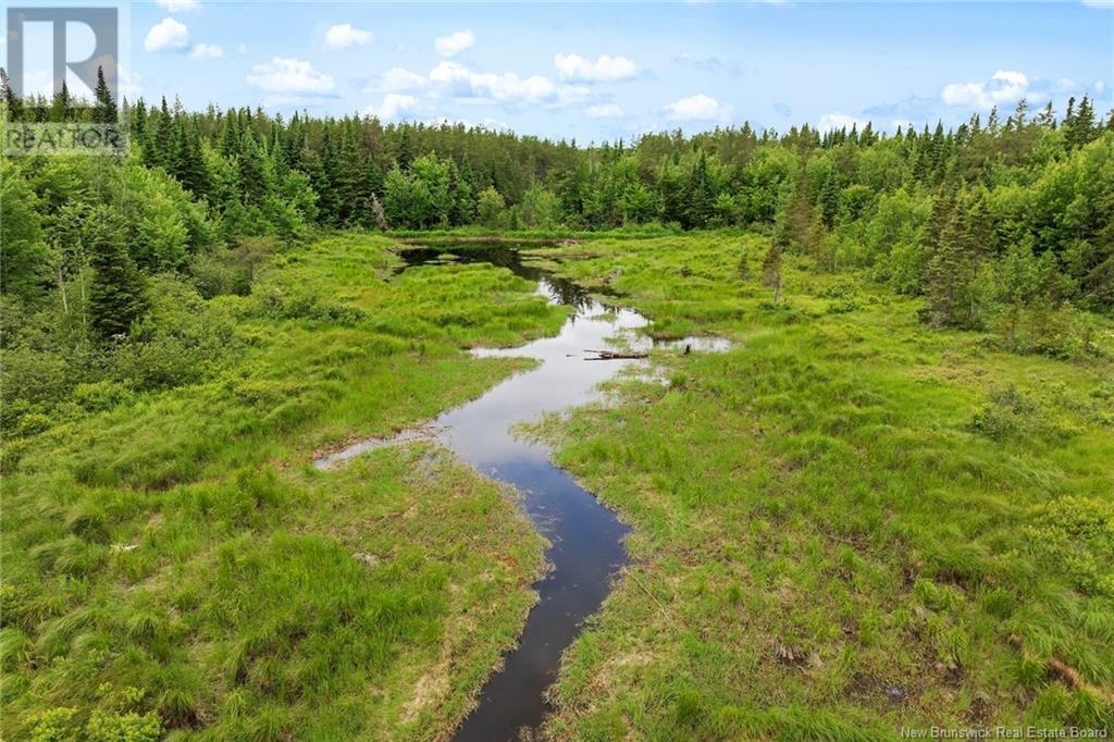 / Bronson Road, Chipman, New Brunswick  O0O 0O0 - Photo 6 - NB119054