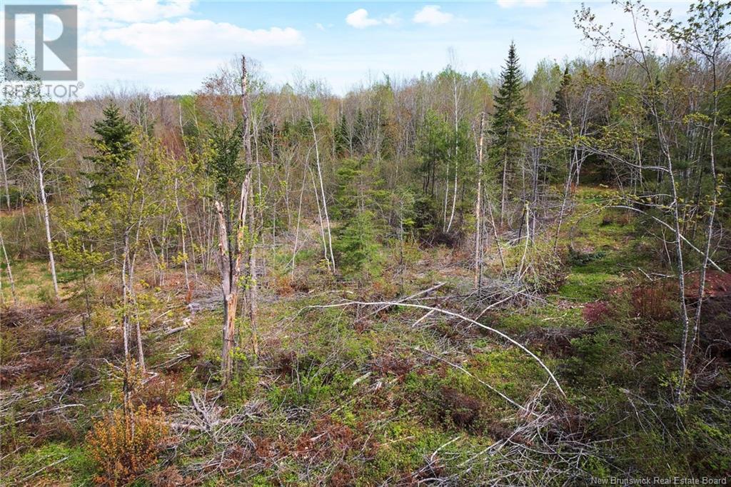 Lot 24-1 Lauvina Road, Geary, New Brunswick  E2V 0O0 - Photo 8 - NB119138