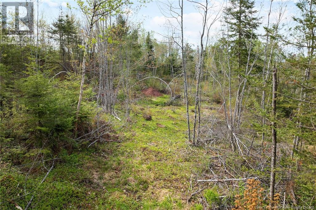 Lot 24-1 Lauvina Road, Geary, New Brunswick  E2V 0O0 - Photo 9 - NB119138