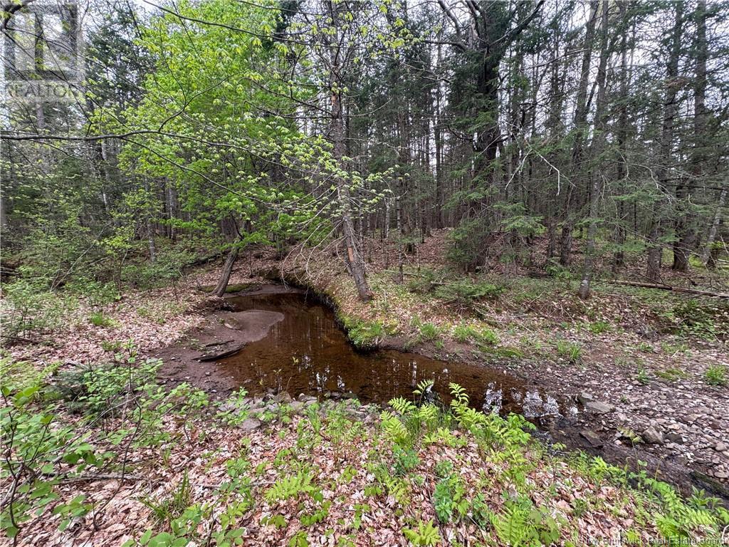 Lot Landing Road, Oromocto, New Brunswick  O0O 0O0 - Photo 3 - NB119131