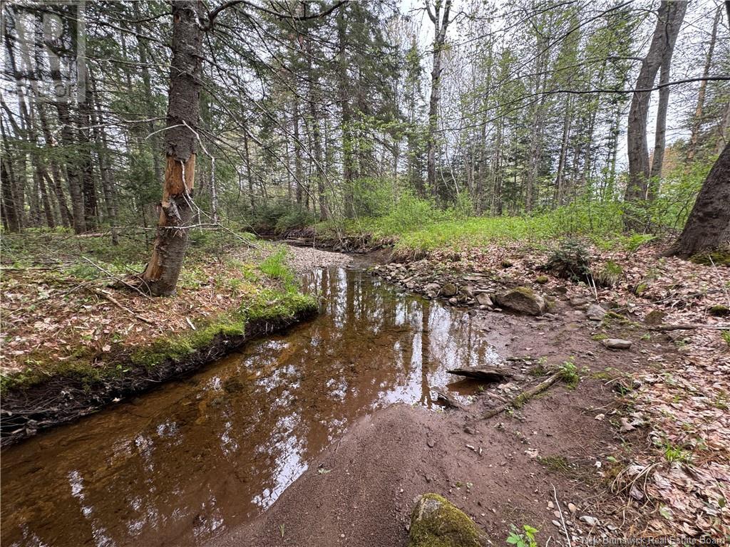 Lot Landing Road, Oromocto, New Brunswick  O0O 0O0 - Photo 4 - NB119131