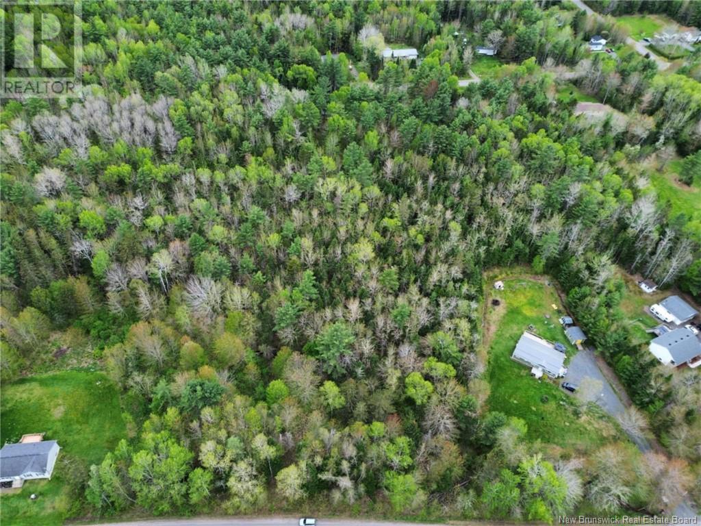 Lot Landing Road, Oromocto, New Brunswick  O0O 0O0 - Photo 5 - NB119131