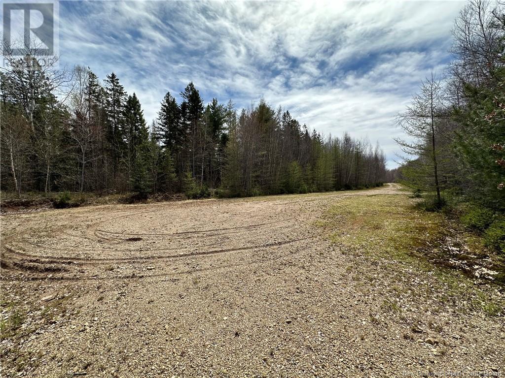 Lot 23-1 Country Shore Lane, Codys, New Brunswick  E4C 1B6 - Photo 13 - NB119146