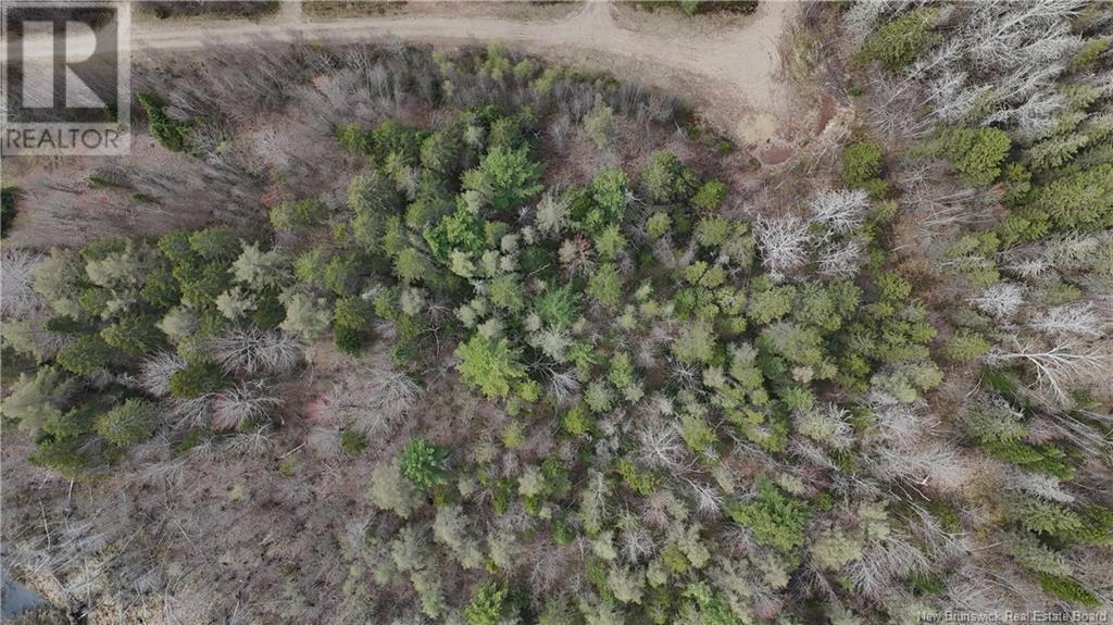 Lot 23-1 Country Shore Lane, Codys, New Brunswick  E4C 1B6 - Photo 14 - NB119146