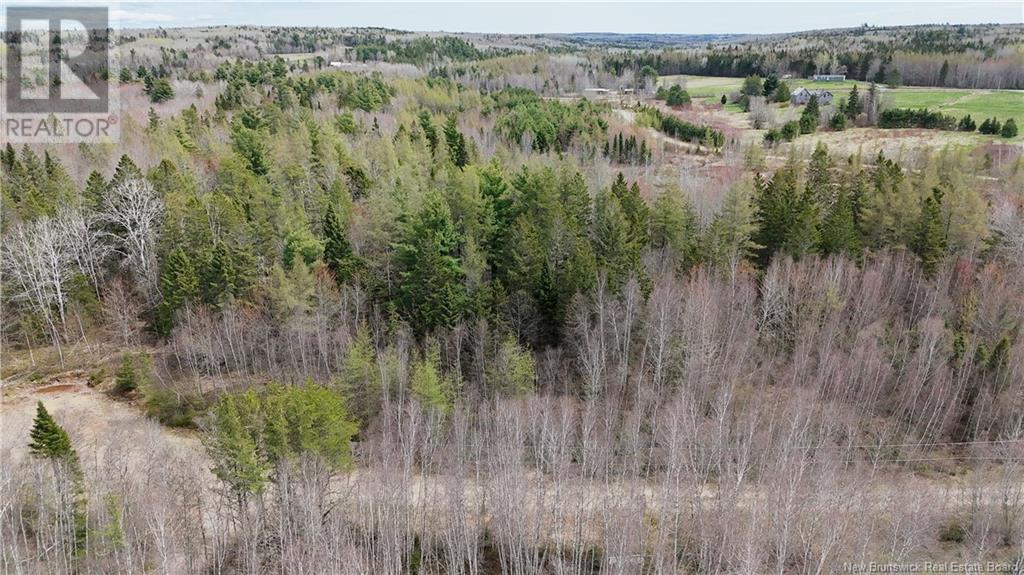 Lot 23-1 Country Shore Lane, Codys, New Brunswick  E4C 1B6 - Photo 9 - NB119146