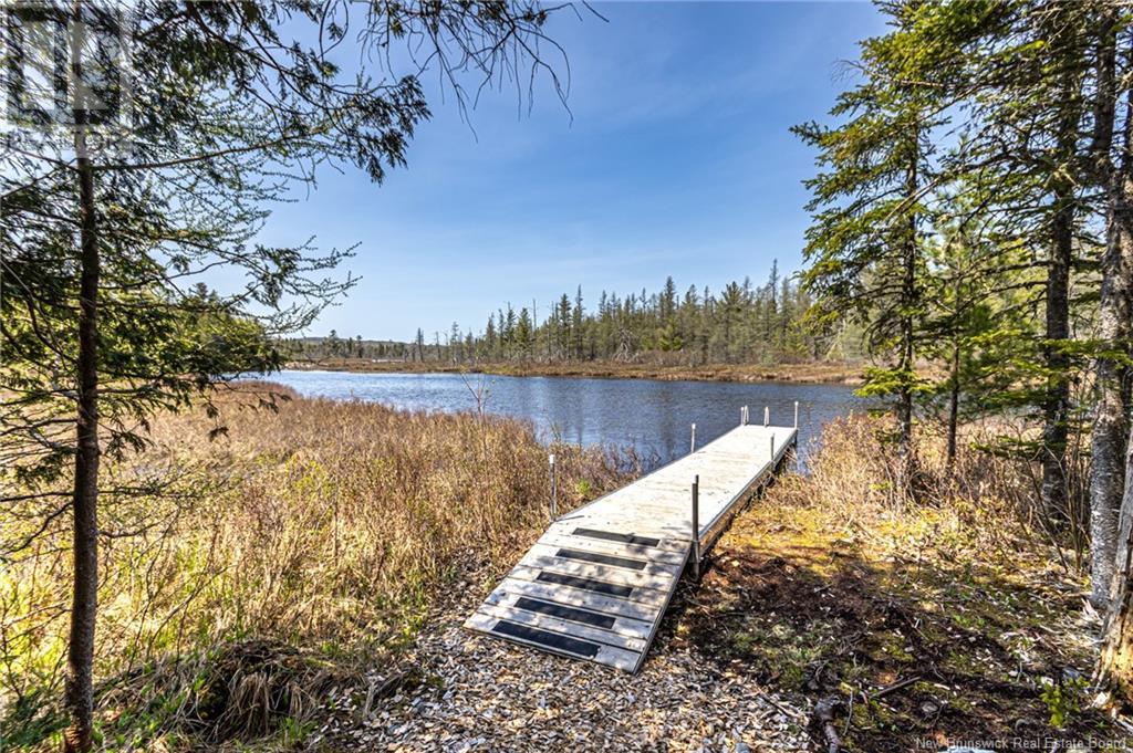 33 Loon Lane, Lake George, New Brunswick  E6K 3J1 - Photo 39 - NB119044