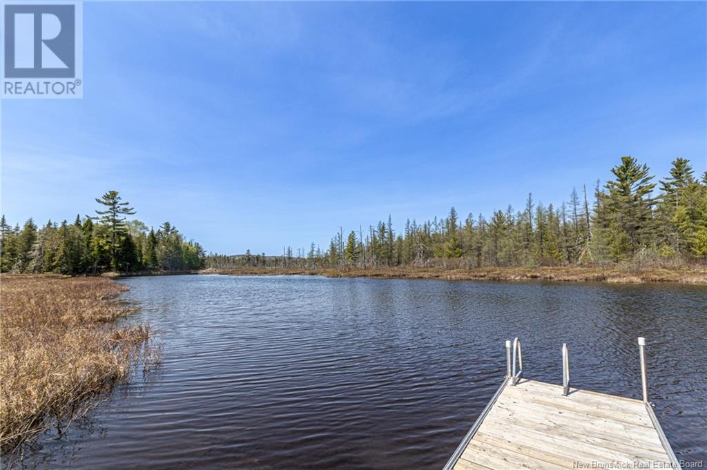 33 Loon Lane, Lake George, New Brunswick  E6K 3J1 - Photo 40 - NB119044