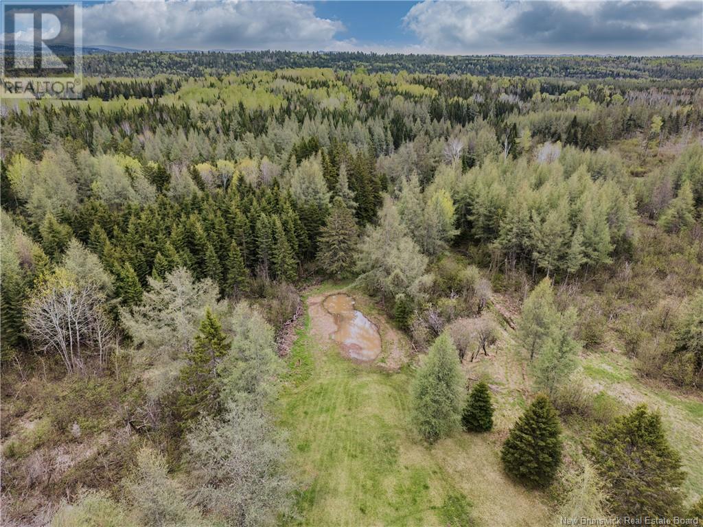 1046 Route 385, Burntland Brook, New Brunswick  E7G 3G5 - Photo 9 - NB119103