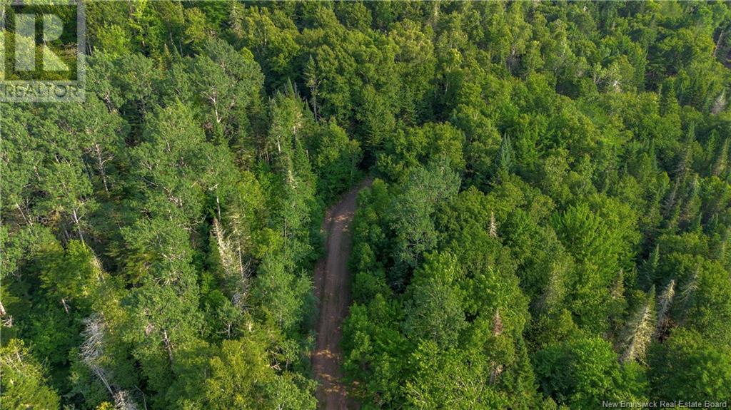 165 Back River Road, Barnesville, New Brunswick  E5N 4R8 - Photo 28 - NB118756