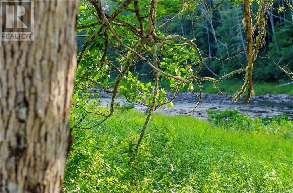 165 Back River Road, Barnesville, New Brunswick  E5N 4R8 - Photo 42 - NB118756