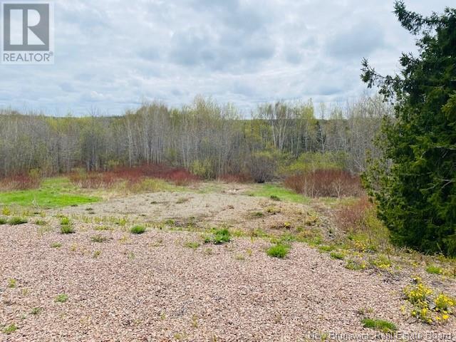 1352 Des Pionniers Avenue, Balmoral, New Brunswick  E8E 1E8 - Photo 16 - NB119109