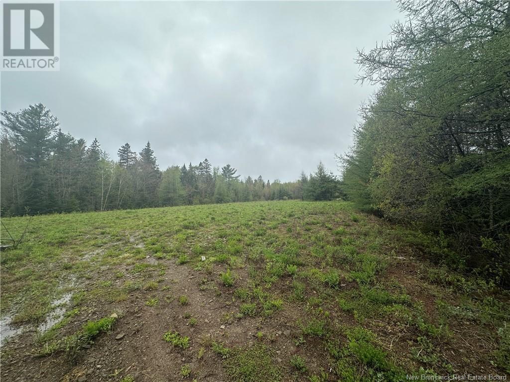 0 Big Ferry Road, Miramichi, New Brunswick  E1V 6Y4 - Photo 3 - NB119120