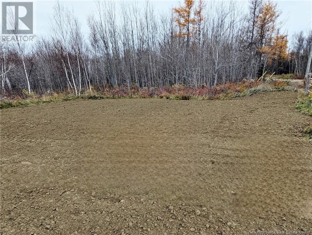 1.75 Hect Rue Acadie, Bas-Caraquet, New Brunswick  E1W 5T9 - Photo 6 - NB119127