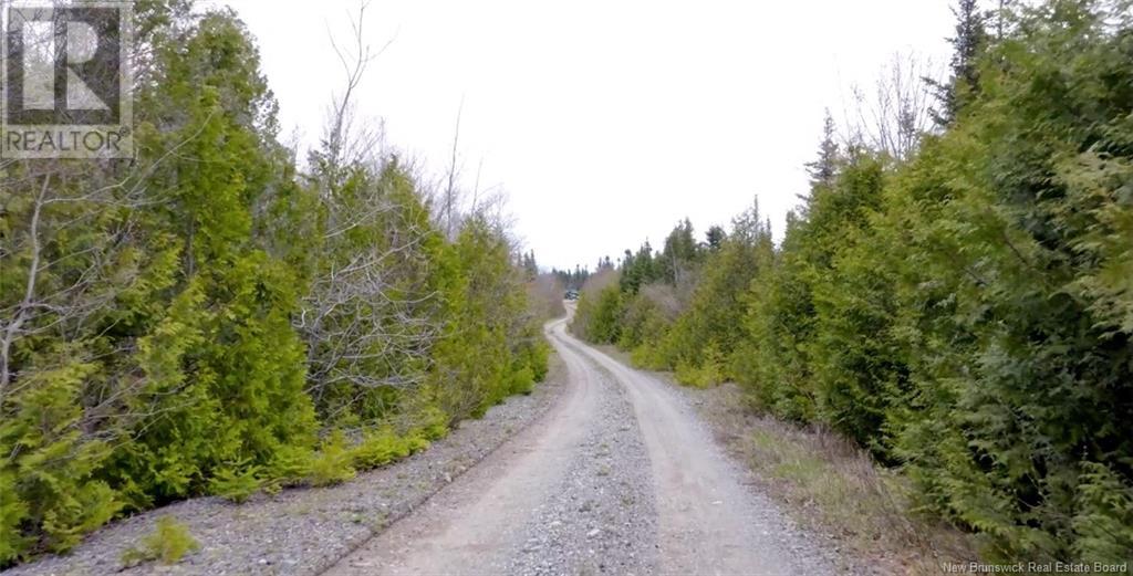 Downeast Drive, Rothesay, New Brunswick  E2G 1W3 - Photo 5 - NB119061