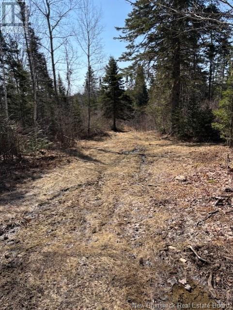 75 Pomeroy Ridge Road, Pomeroy Ridge, New Brunswick  E3L 5L9 - Photo 10 - NB119170