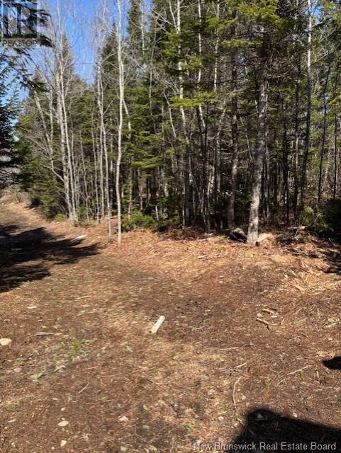 75 Pomeroy Ridge Road, Pomeroy Ridge, New Brunswick  E3L 5L9 - Photo 8 - NB119170
