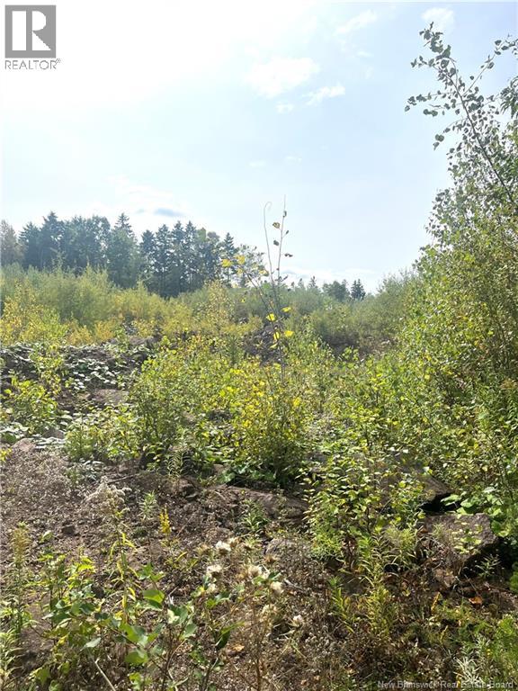 96 Hilltop Drive, Hampton, New Brunswick  E5N 5P2 - Photo 10 - NB119124