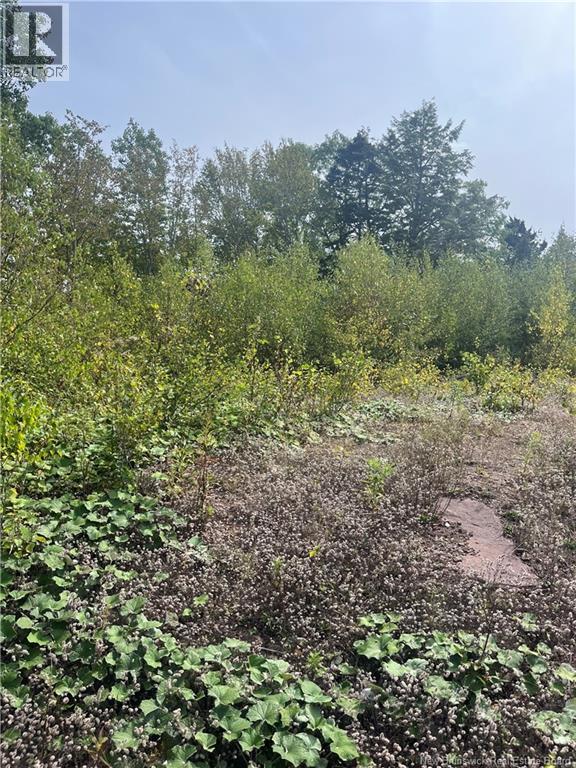 96 Hilltop Drive, Hampton, New Brunswick  E5N 5P2 - Photo 12 - NB119124
