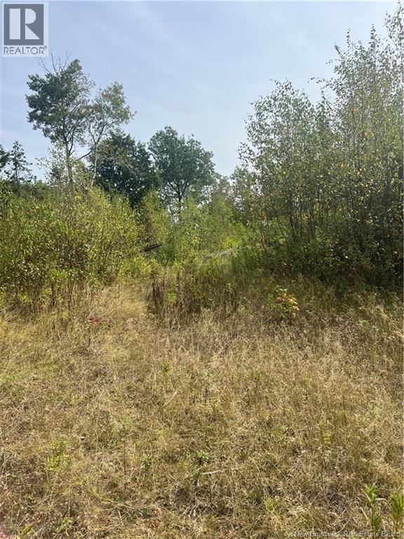 96 Hilltop Drive, Hampton, New Brunswick  E5N 5P2 - Photo 15 - NB119124